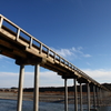 橋②