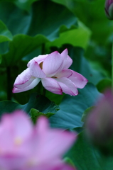 終焉