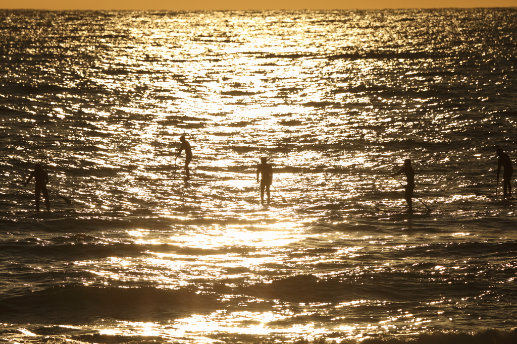 海の人たち