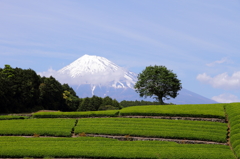 富士山②