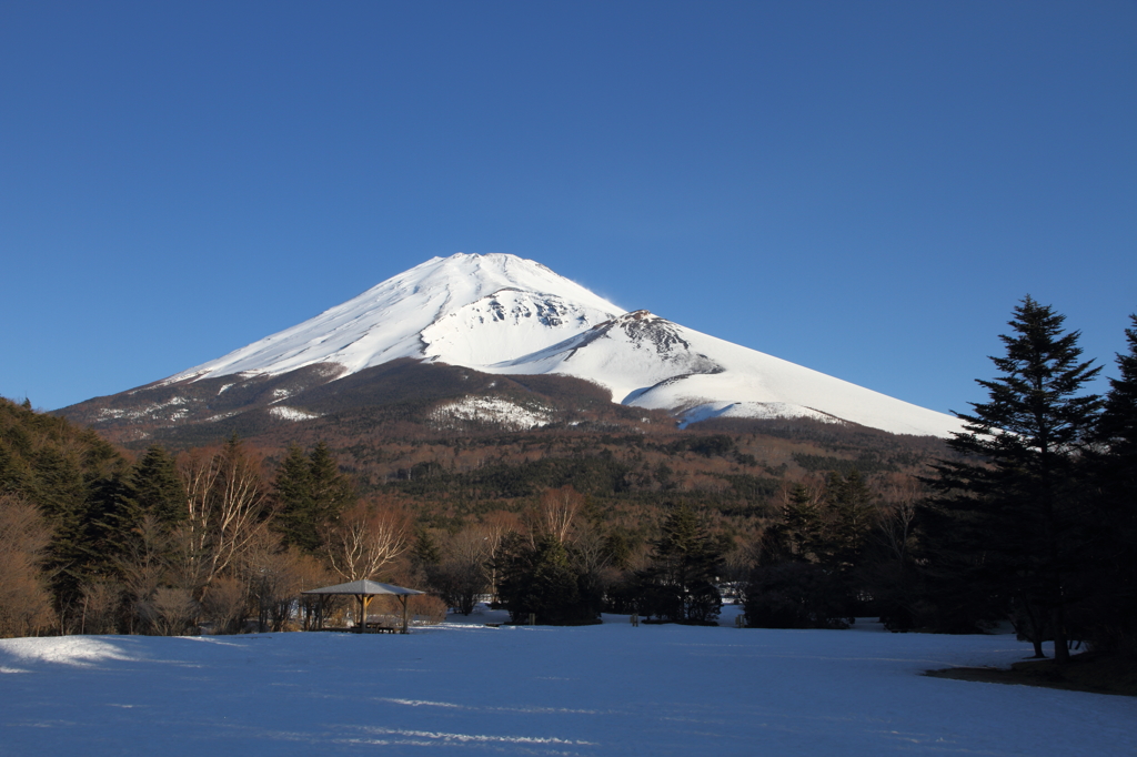富士山③