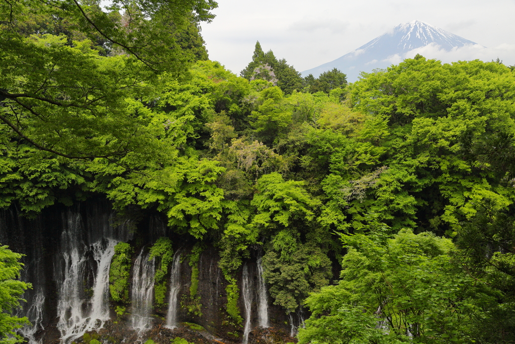 白糸の滝