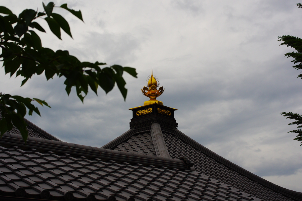 ～曇り空に黄金～