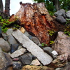The Shosei-en Garden 高石垣