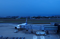 ～夕方の空港にて～