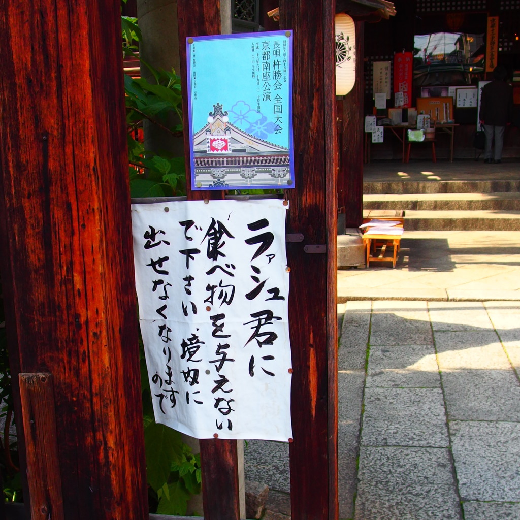 ラァ～シュ君?