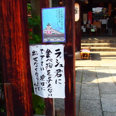 ラァ～シュ君?