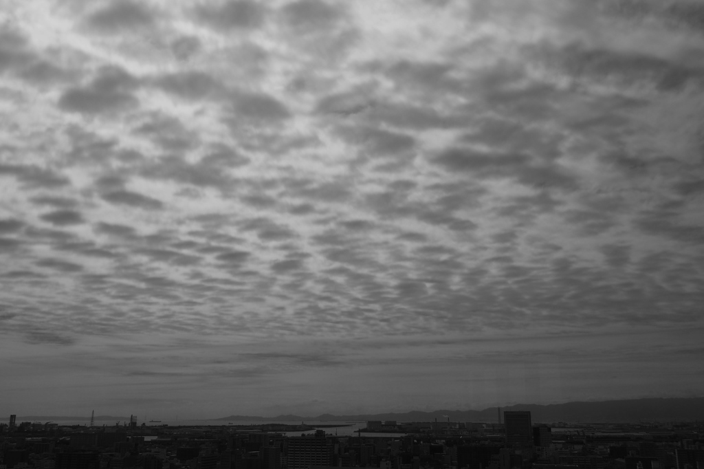 雨上がりの空