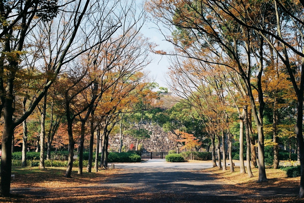 ～いろどり～