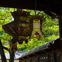 ～御香宮神社Ⅱ～