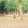 ～公園～