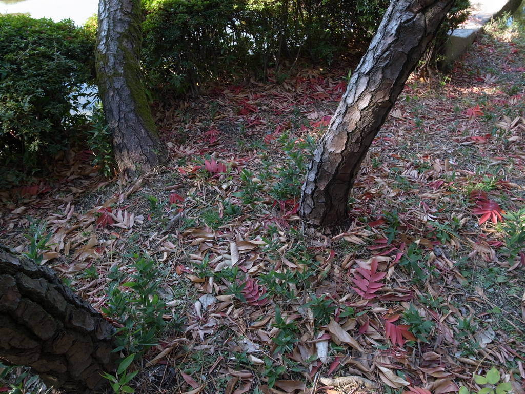 ～12月・寒い日～