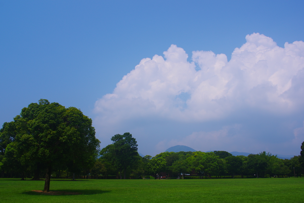 ～夏空、くまもと～