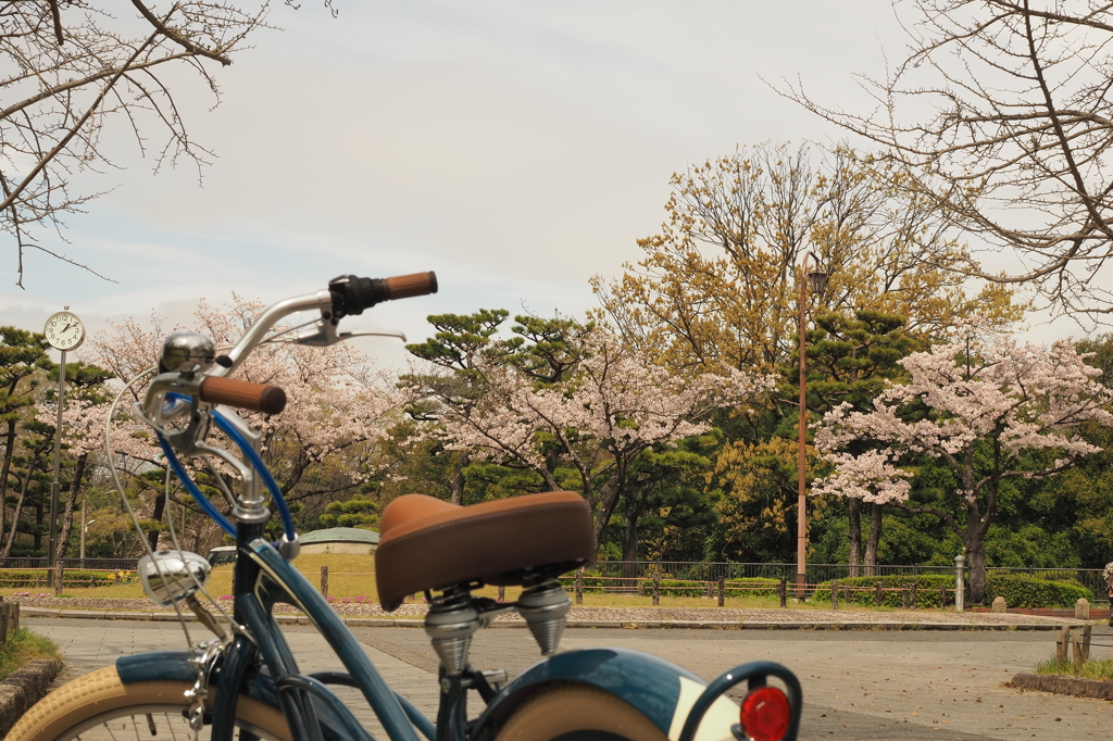 花見号
