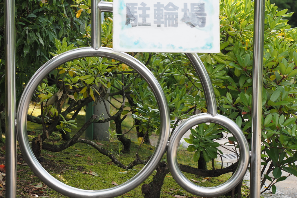 自転車おきばへ