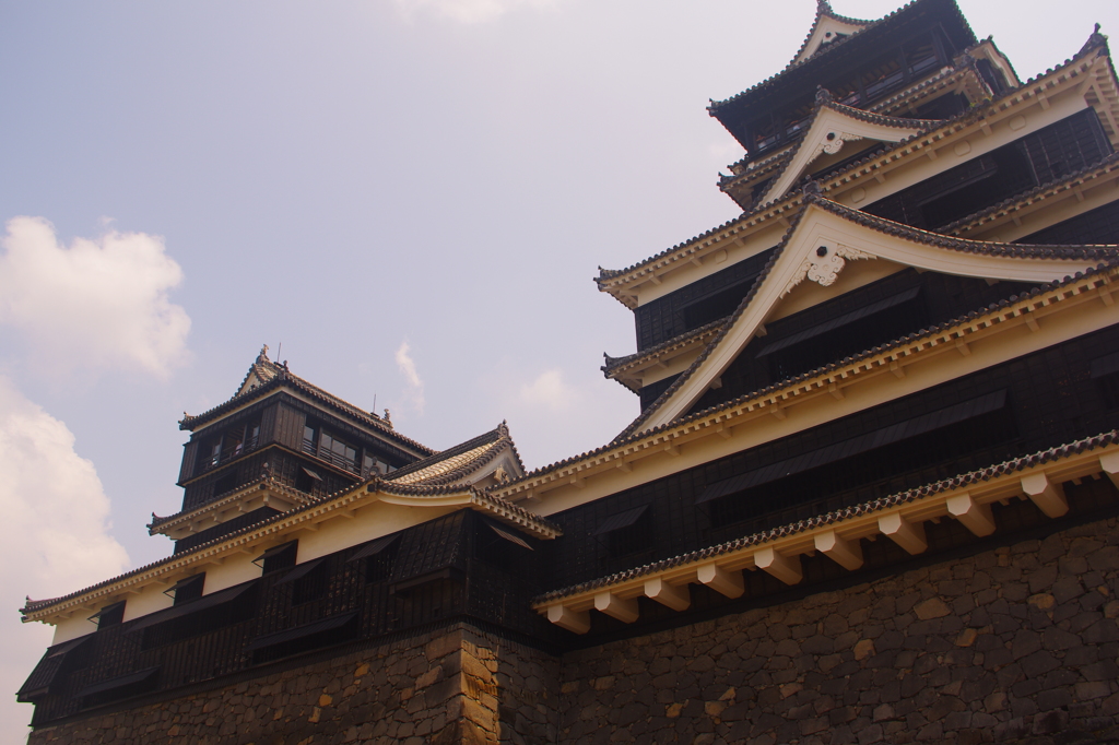 ～熊本城、見上げてみました～