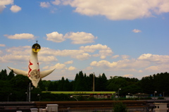 ～またゆっくり来ますね〜