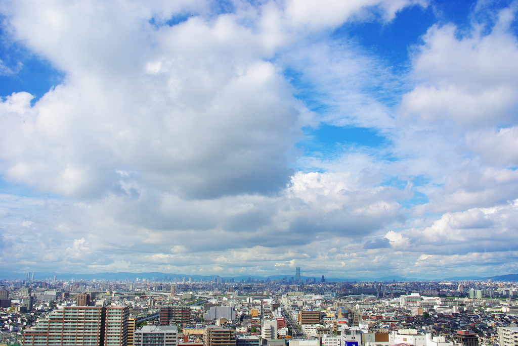 ～9月・遠くをみる～