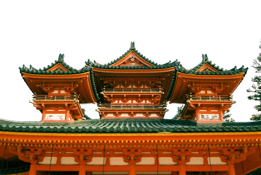 見上げてみる( ◠‿◠ ) 