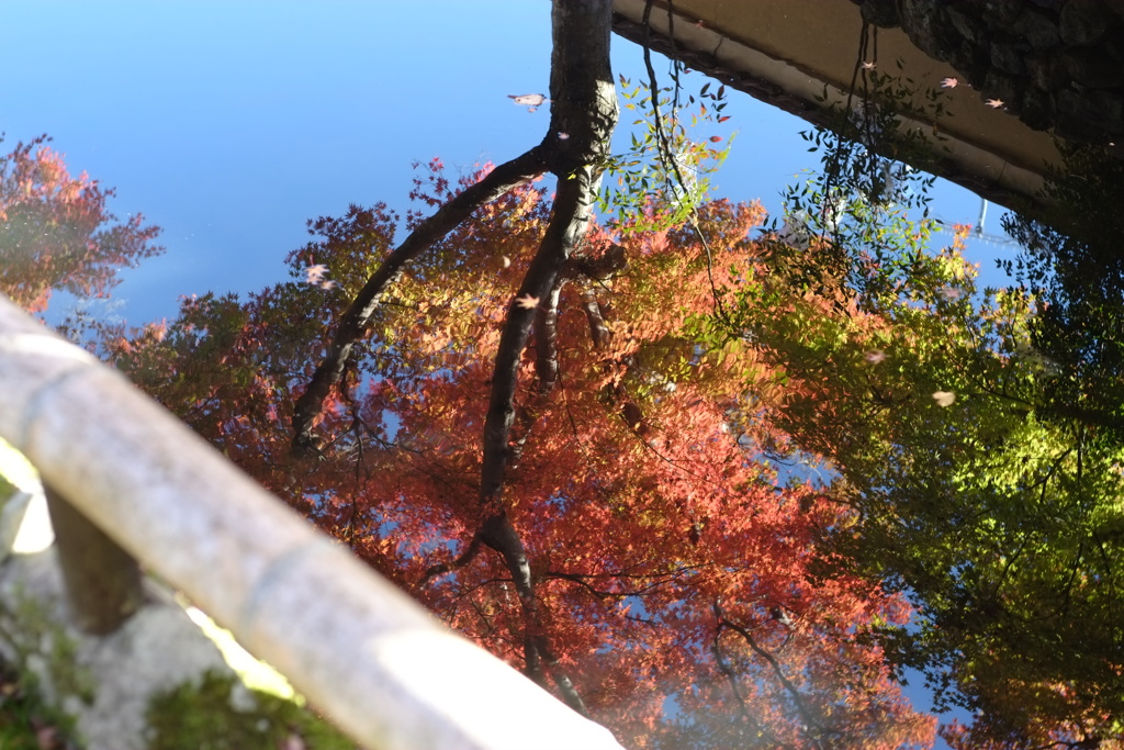 水面に