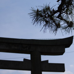 ～御香宮神社～