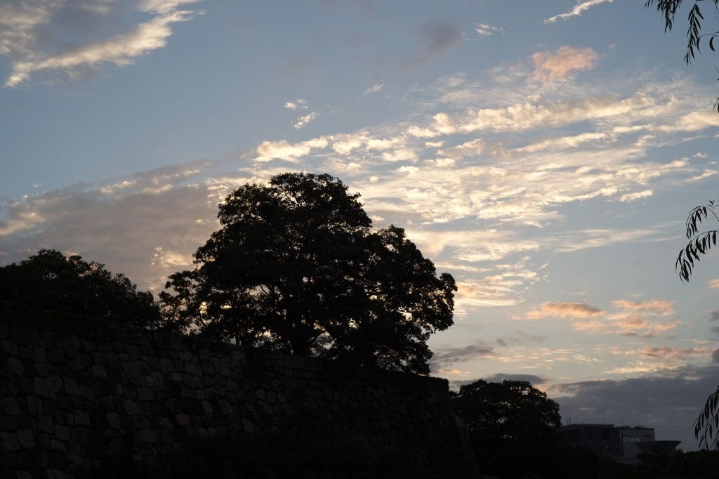 ～夕方の公園散歩～