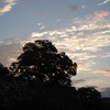 ～夕方の公園散歩～