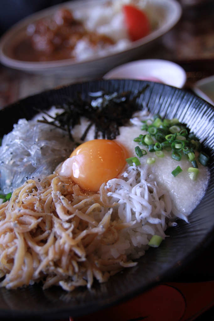 しらす丼