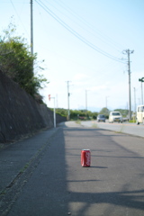 丁寧なポイ捨て・・・