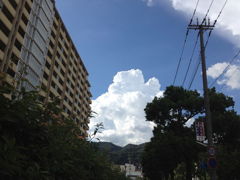 わたがし