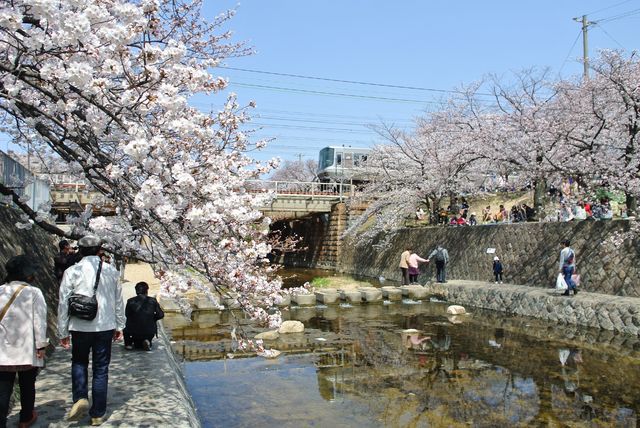 さくら夙川
