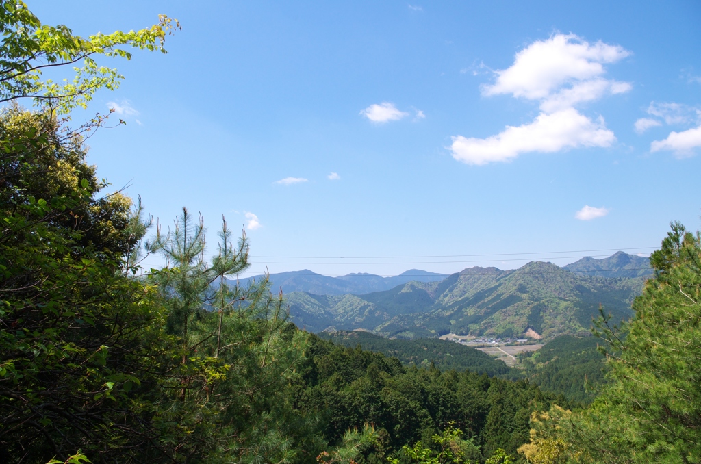 怪しい山道登ったった1