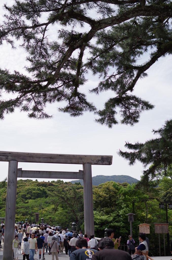 神宮参拝（初詣）