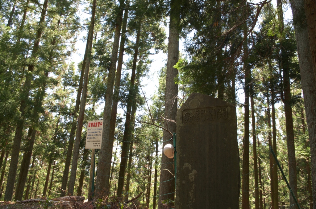 怪しい山道登ったった2