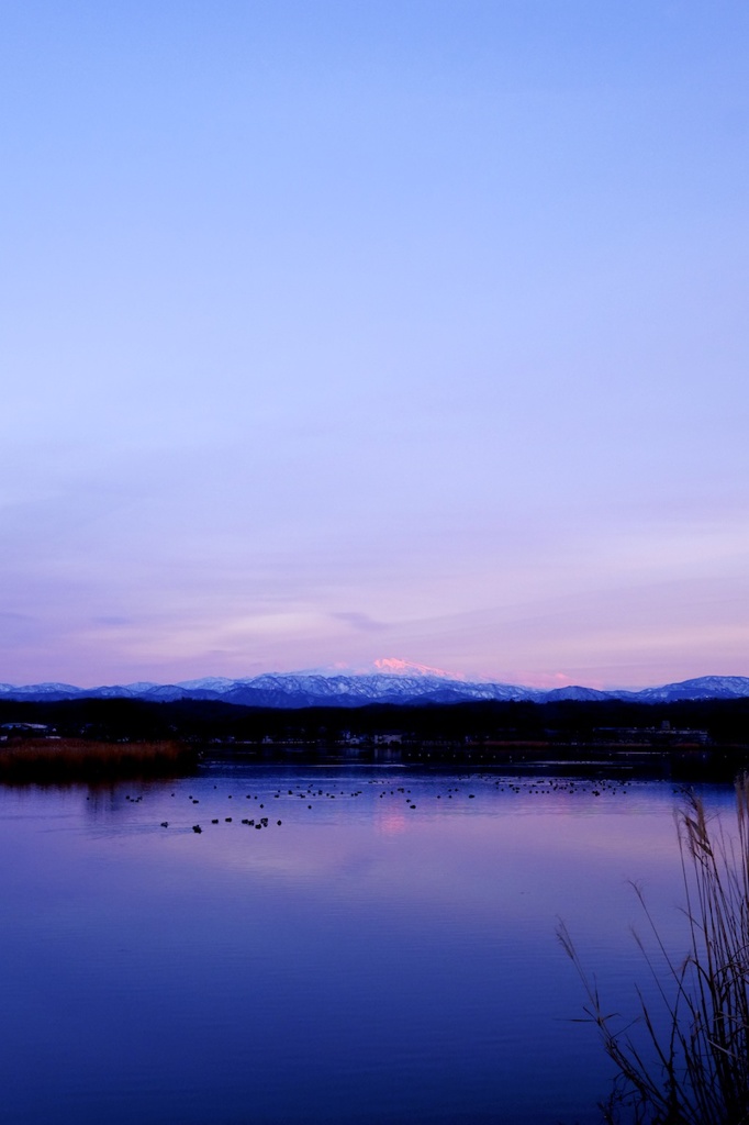 夕日に染まる