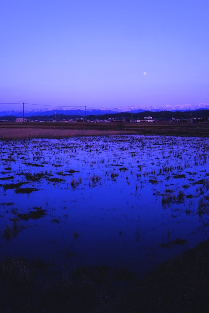 夕月
