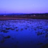 夕月
