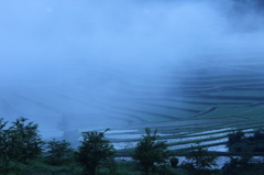 朝霧の棚