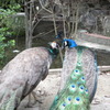 ラブラブ２