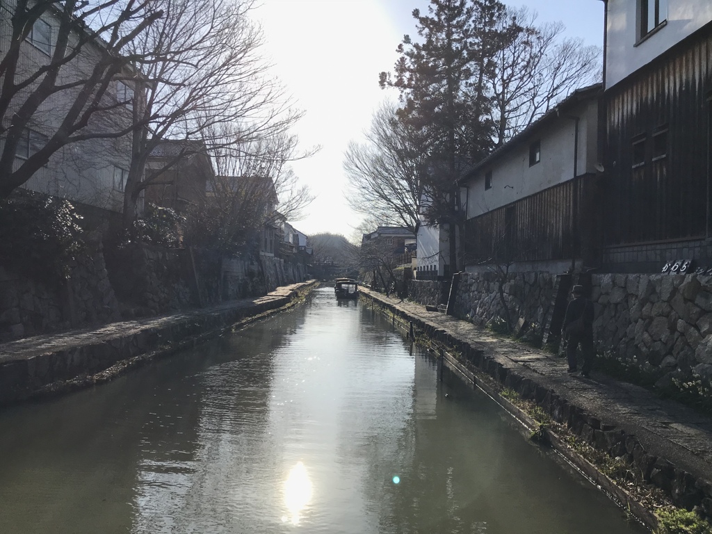 近江八幡　水郷めぐり