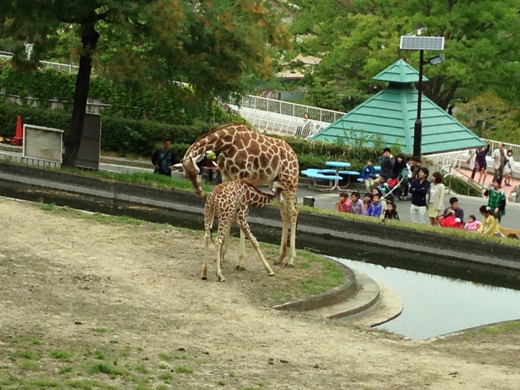 まだまだ甘えん坊