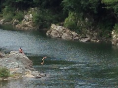 夏休み 川遊び