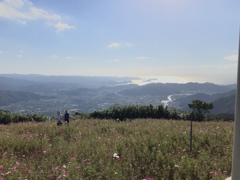 鷲ヶ峰コスモスパーク