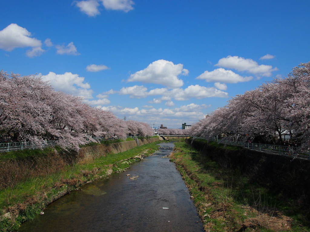香流川緑道