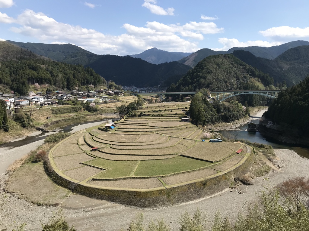 ちょっと早かったですね、夏にもう一度。