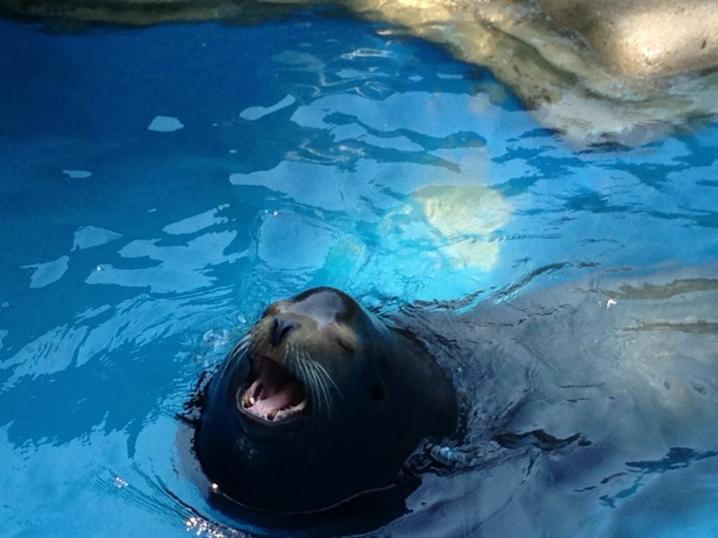 はぁ〜いい気持ち