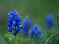 ハ～ィ。