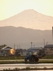 P5243225