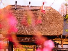 連休最終日。