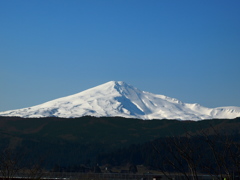 春の秋田富士